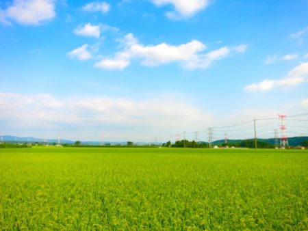 田んぼを収益物件に